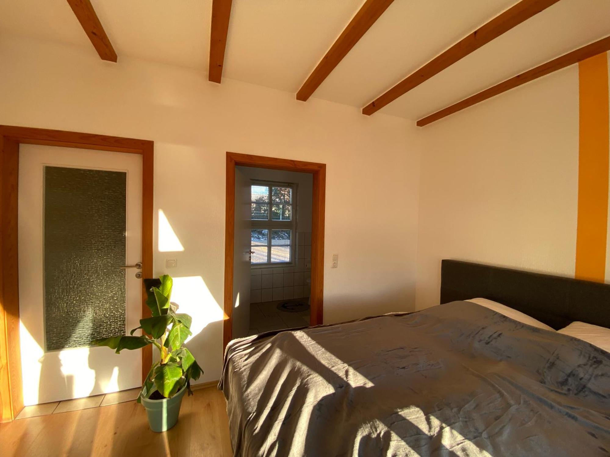 Bruchhausen-Vilsen Ferienhaus Banana Lodge מראה חיצוני תמונה