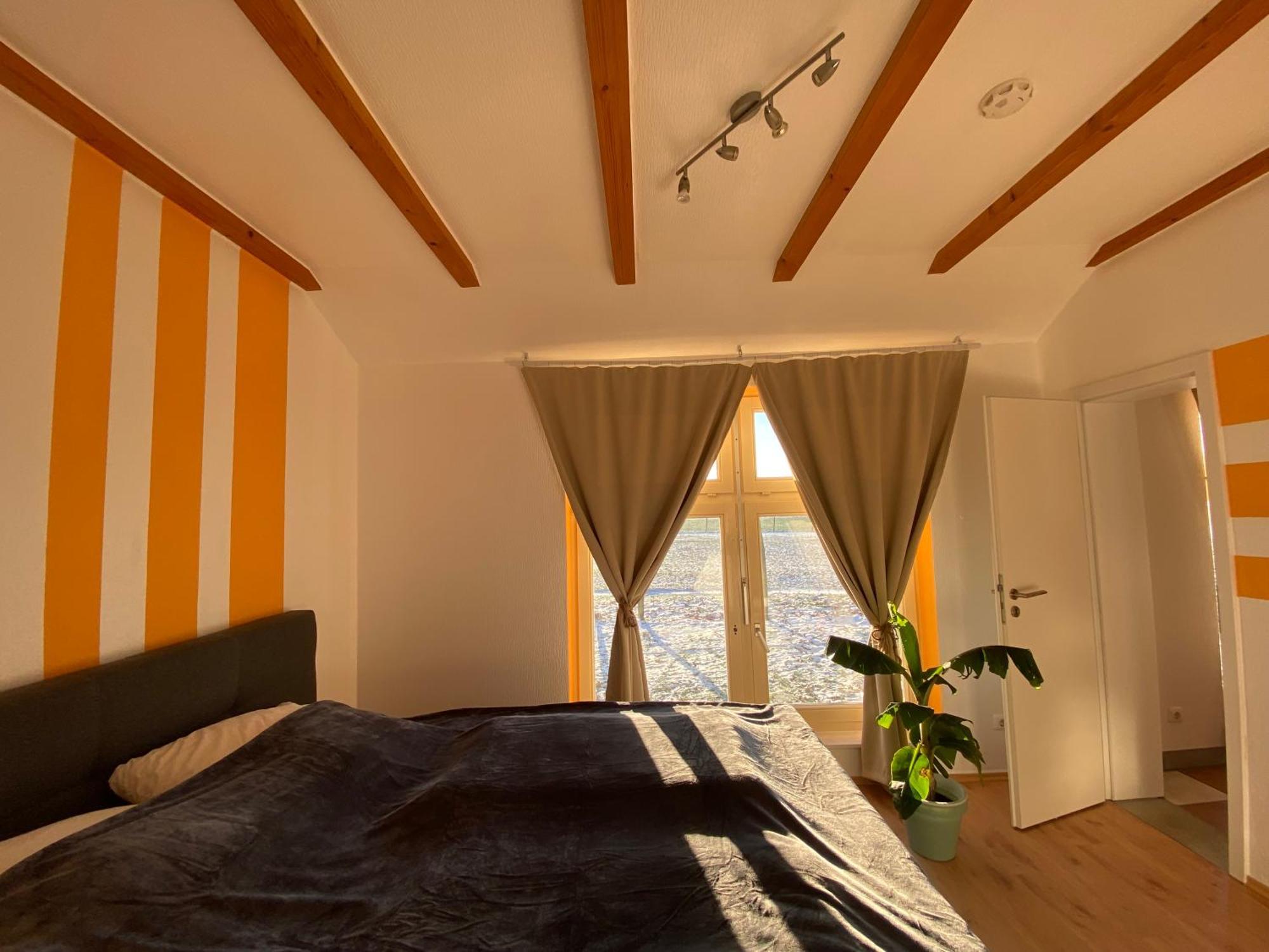Bruchhausen-Vilsen Ferienhaus Banana Lodge מראה חיצוני תמונה