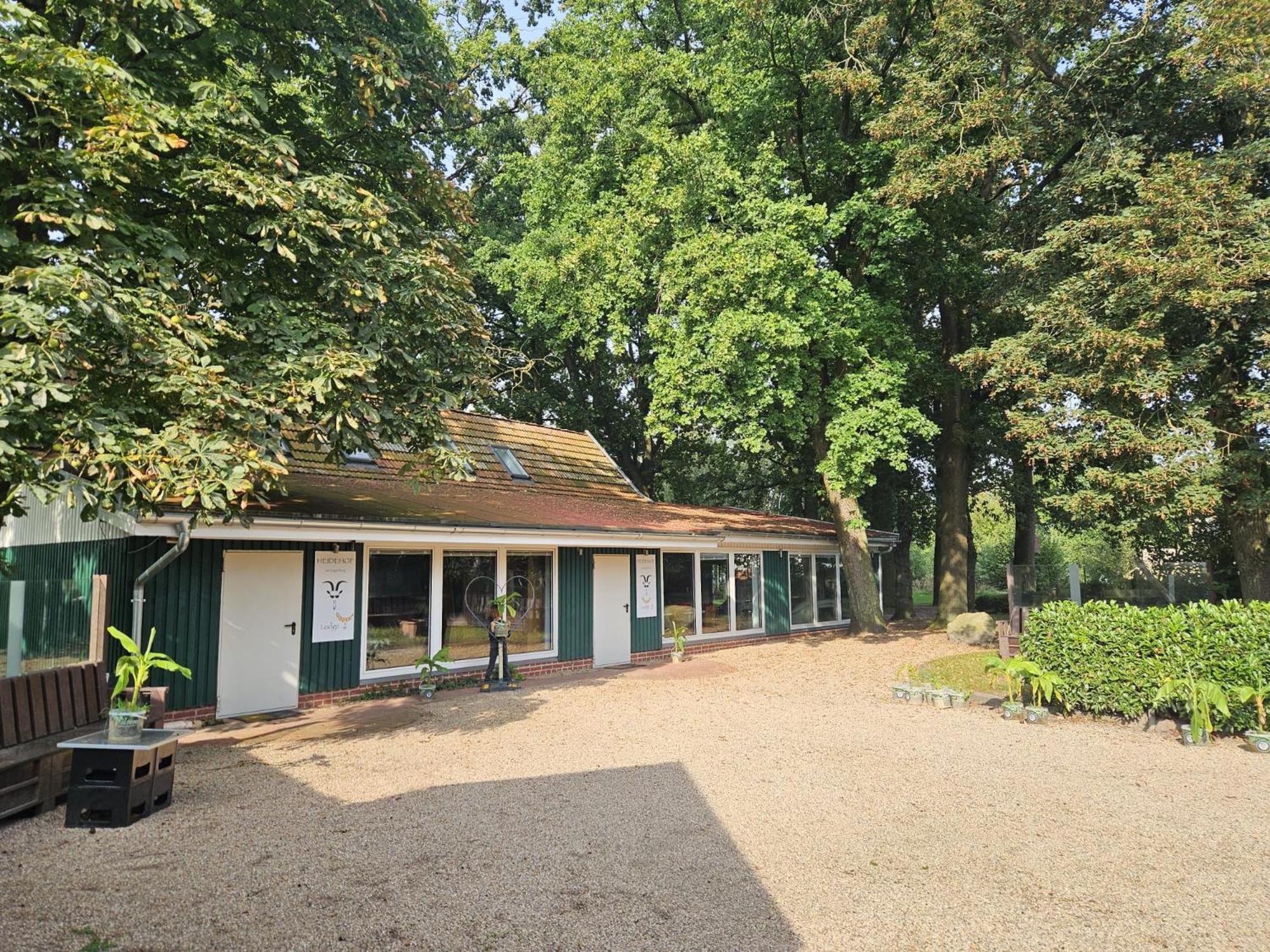 Bruchhausen-Vilsen Ferienhaus Banana Lodge מראה חיצוני תמונה