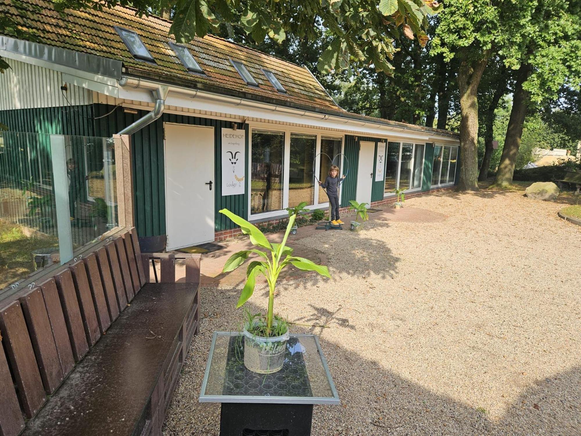 Bruchhausen-Vilsen Ferienhaus Banana Lodge מראה חיצוני תמונה